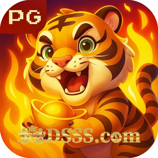 dsss logo